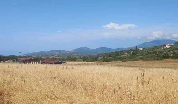 novità scuola primaria e infanzia vallo della lucania