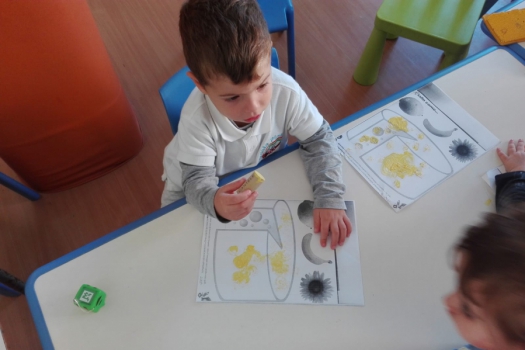 novità scuola primaria e infanzia vallo della lucania