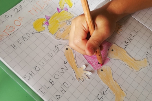 novità scuola primaria e infanzia vallo della lucania