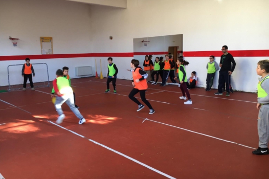 novità scuola primaria e infanzia vallo della lucania