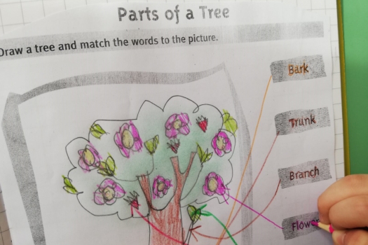 novità scuola primaria e infanzia vallo della lucania
